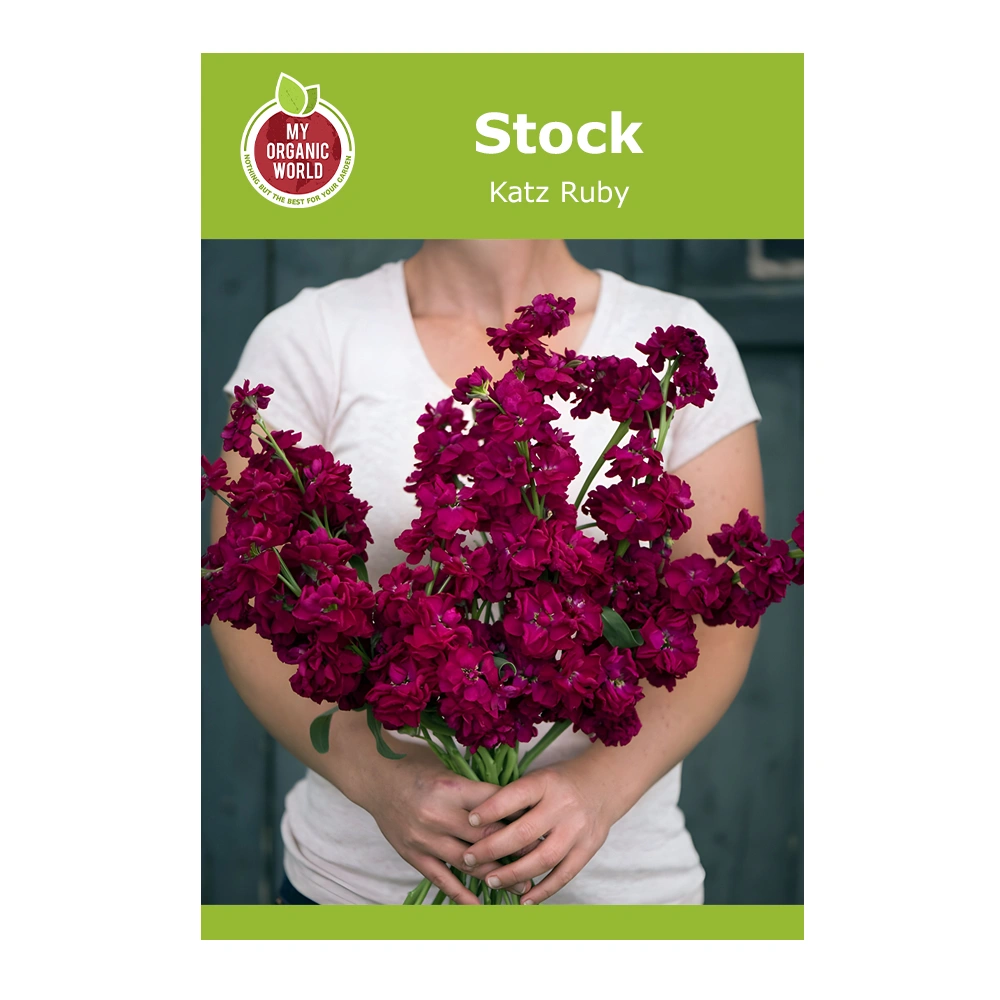 Stock Katz Ruby 1 Stock Katz Ruby seeds