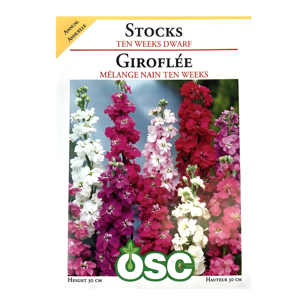 Stocks Ten Weeks 1 Stocks Ten Weeks