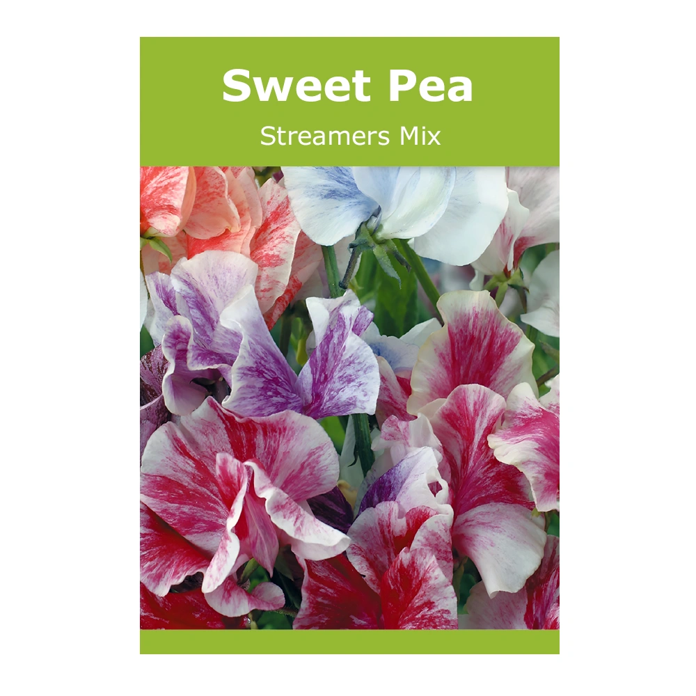 Streamers Mix Sweet Pea 1 Streamers Mix Sweet Pea seeds