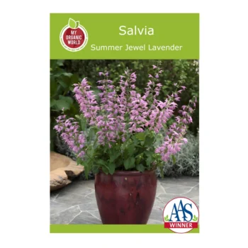 Summer Jewel Lavender Salvia seeds