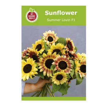 دوار الشمس Summer Lovin F1
