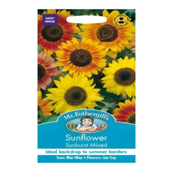 Sunburst Sunflower