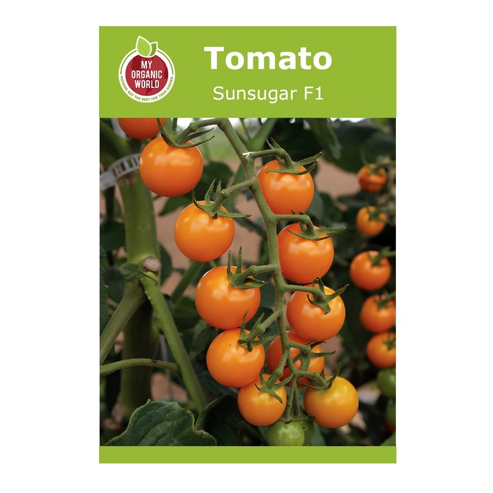 Sunsugar F1 Tomato 1 Sunsugar F1 Tomato seeds