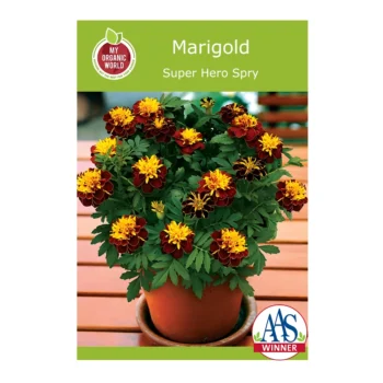 Super Hero Spry Marigold seeds