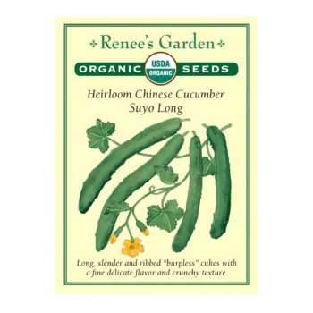 Suyo Long Heirloom Chinese Cucumber seeds