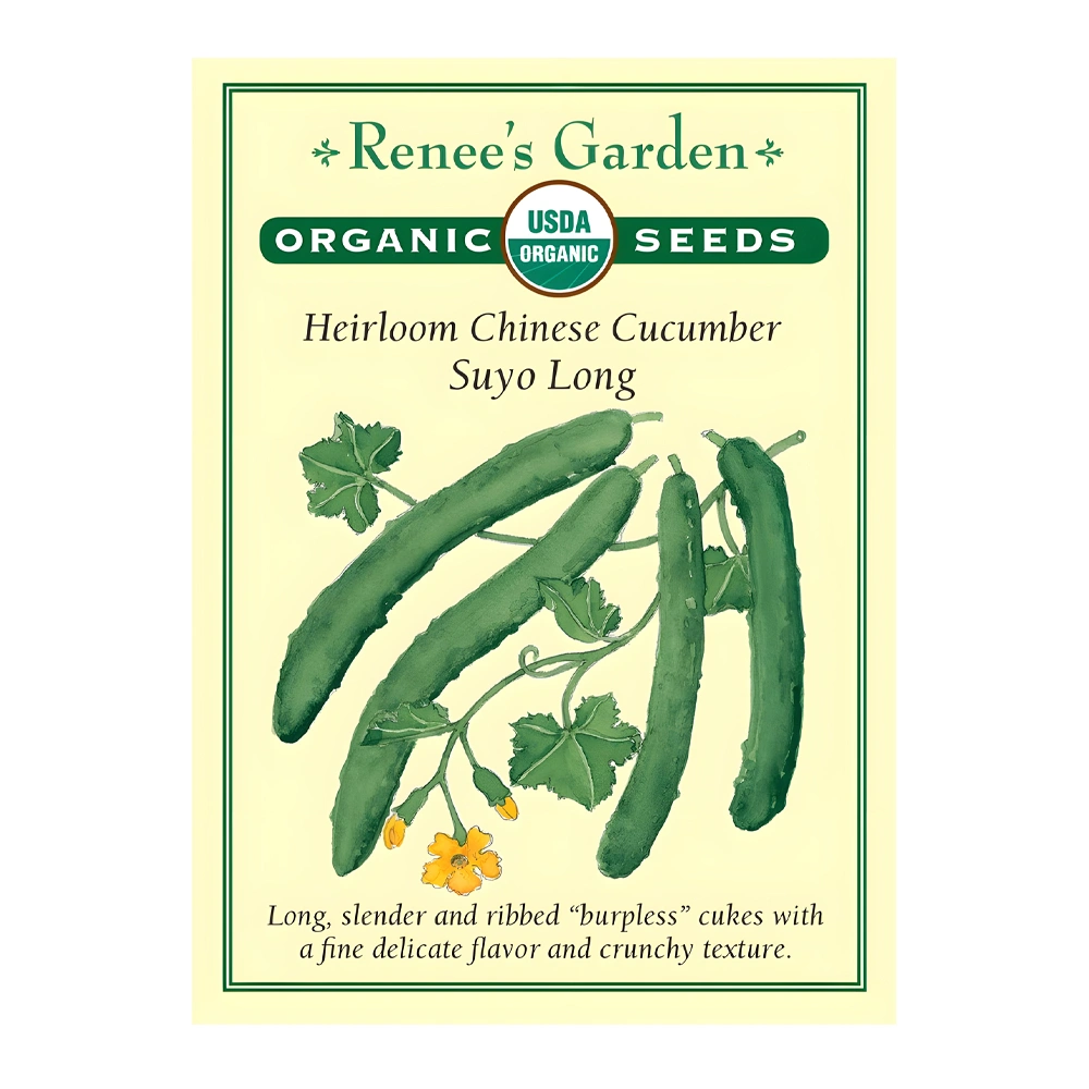 Suyo Long Heirloom Chinese Cucumber 1 Suyo Long Heirloom Chinese Cucumber seeds