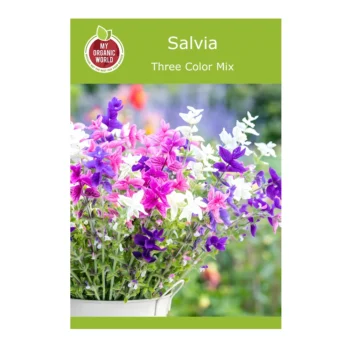 Three Color Mix Salvia seeds