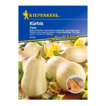 Tiana F1 Pumpkin seeds