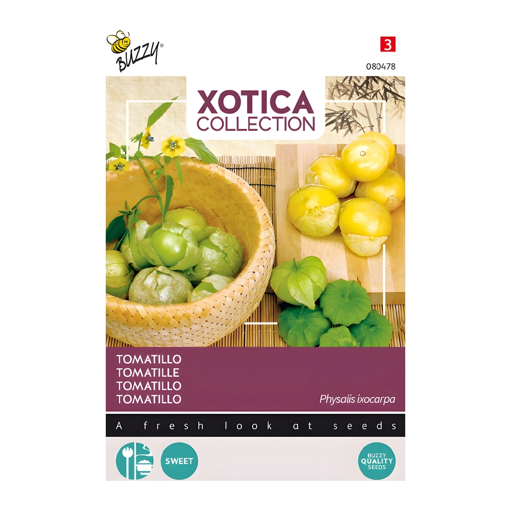 Tomatillo Mexican Andean Berry 1 Tomatillo Mexican Andean Berry