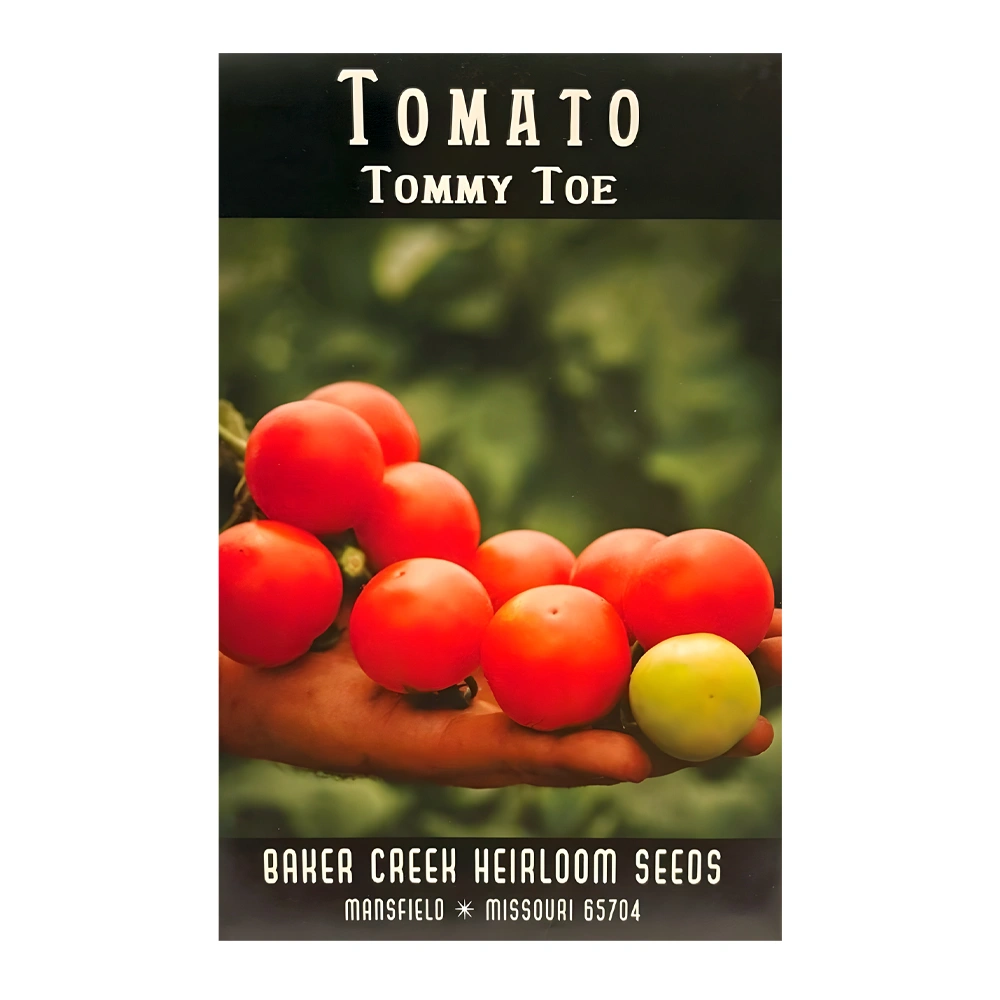 Tommy Toe Tomato 1 Tommy Toe Tomato seeds