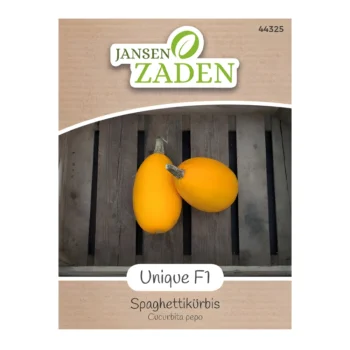 Unique F1 Spaghetti Pumpkin seeds