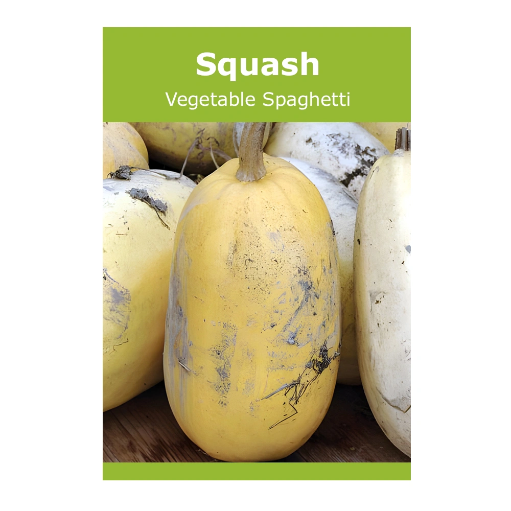 Vegetable Spaghetti Squash
