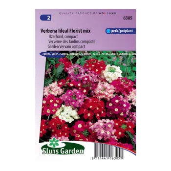 Verbena Ideal Florist Mix