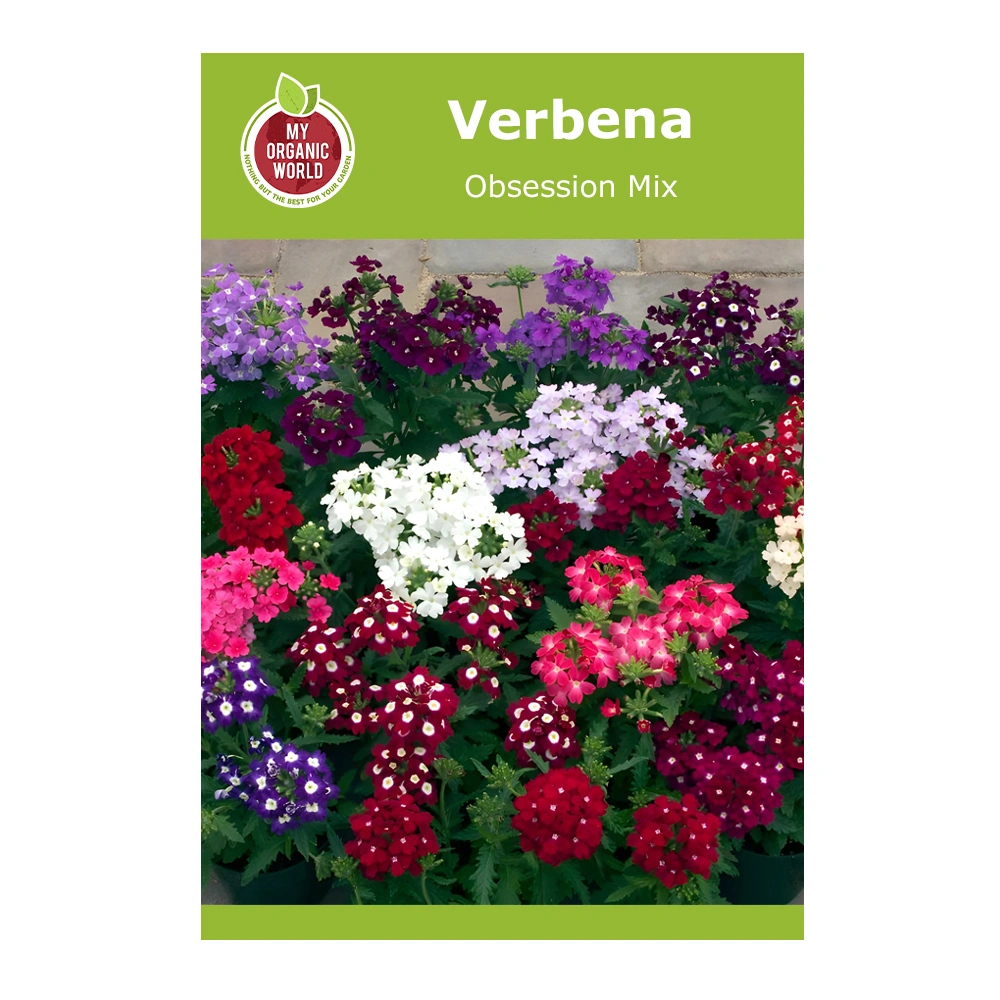 Verbena Obsession Mix
