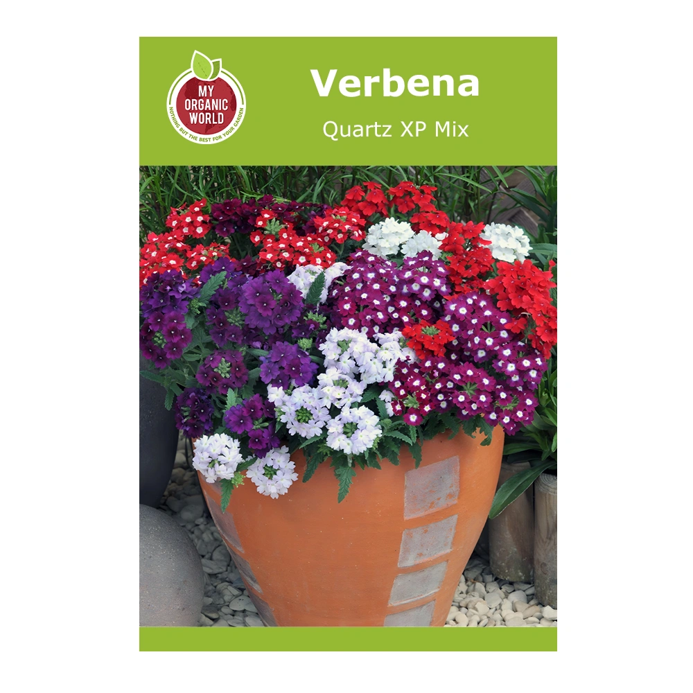 Verbena Quartz XP Mix