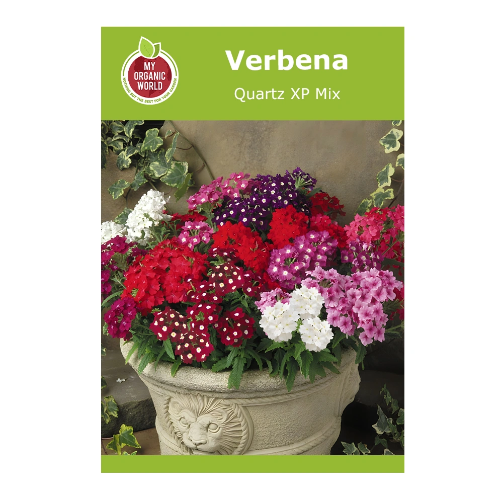 Verbena Quartz XP Mix 1 Verbena Quartz XP Mix