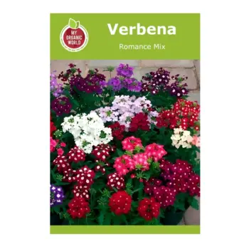 Verbena Romance Mix
