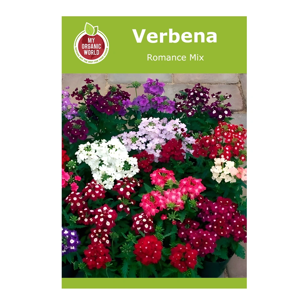 Verbena Romance Mix