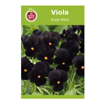 Viola Angel Black