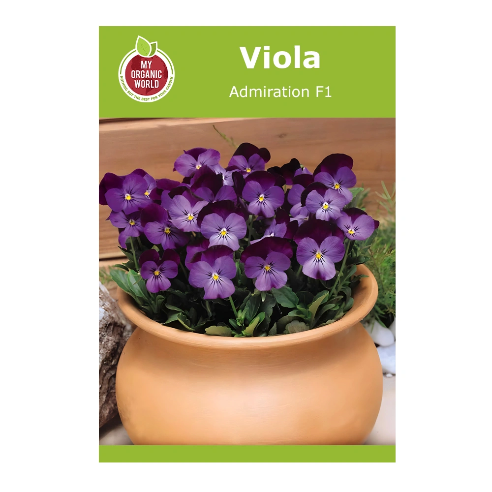 Viola Cornuta Admiration F1