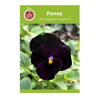 Viola Cornuta Back to Black F1 seeds