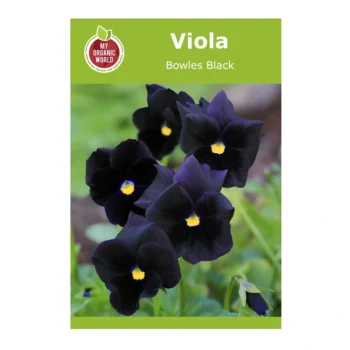 Viola Cornuta Bowles Black