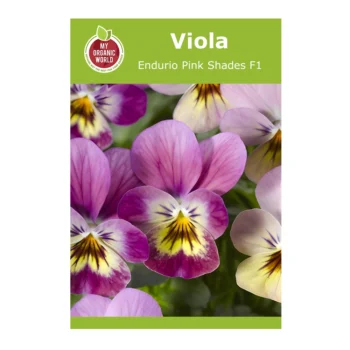 Viola Endurio Pink Shades F1