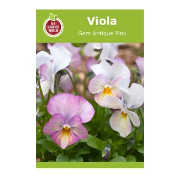 Viola Gem Antique Pink