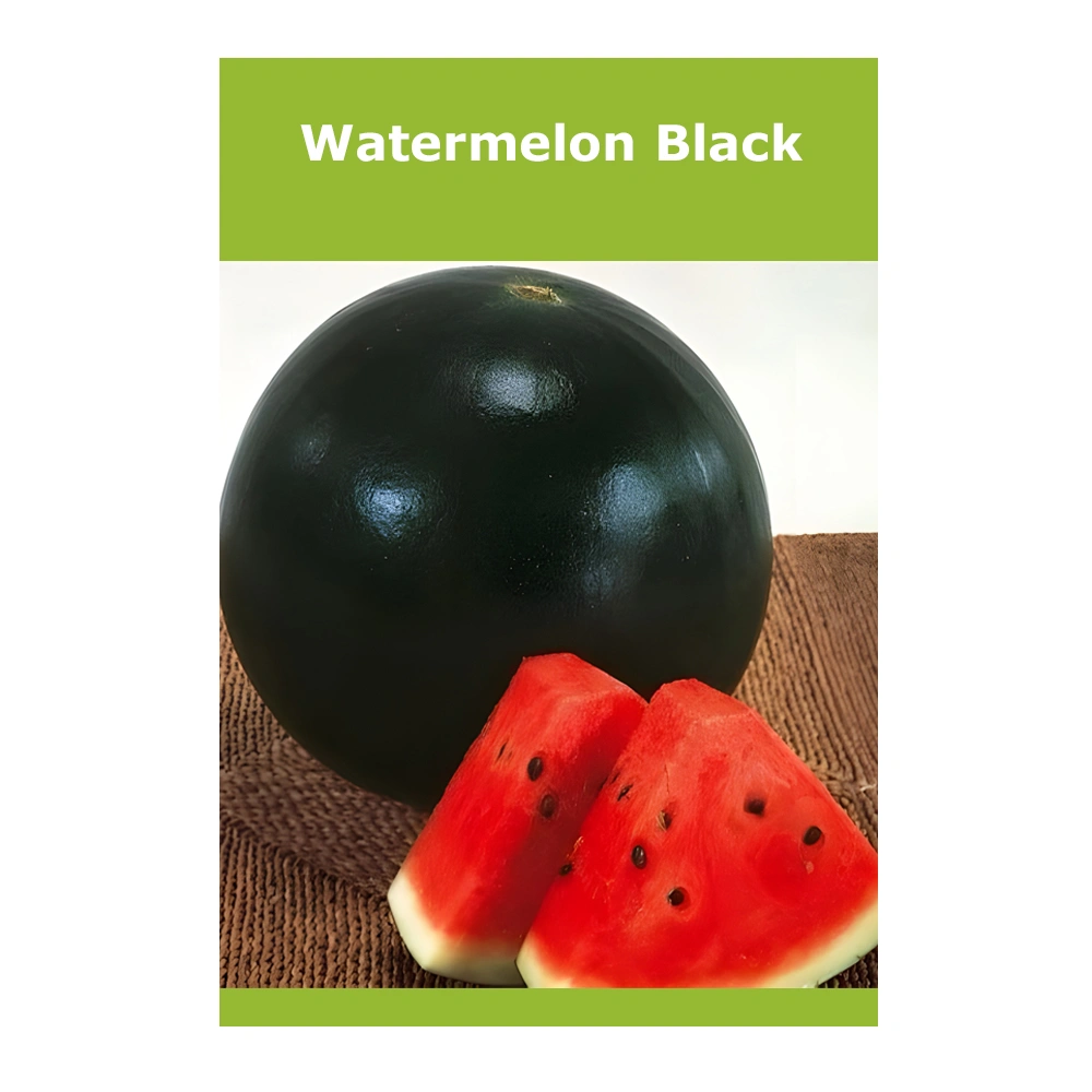 Watermelon Black 1 Watermelon Black