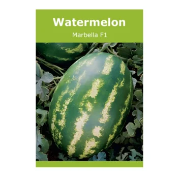 Watermelon Marbella F1