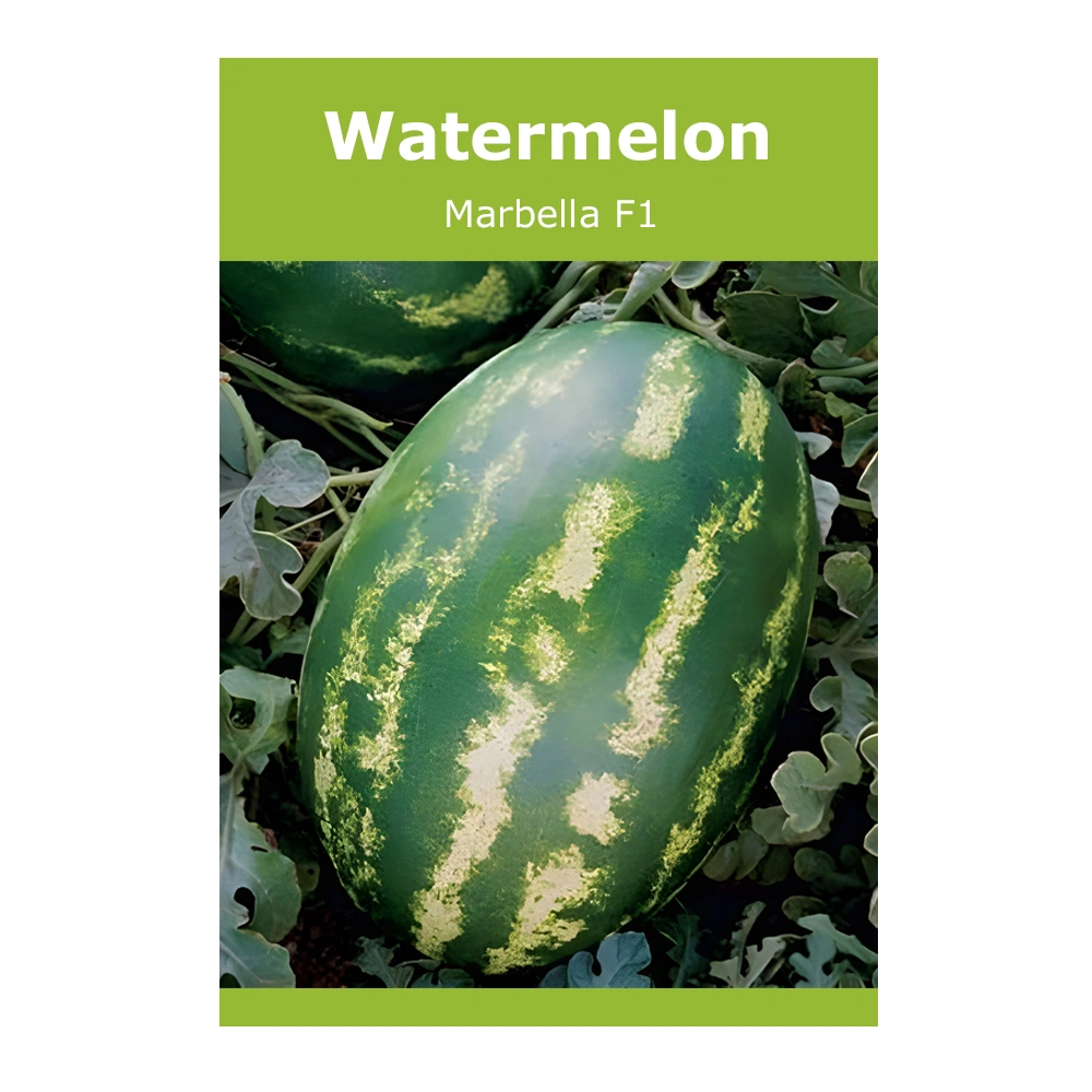 Watermelon Marbella F1