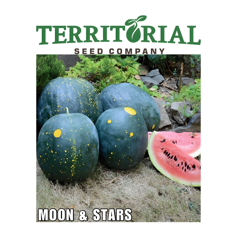 Watermelon Moon & Stars 1 Watermelon Moon & Stars
