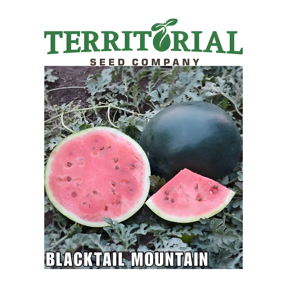 Watermelon Organic & Biodynamic Blacktail Mountain 1 Watermelon Organic & Biodynamic Blacktail Mountain