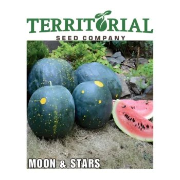 Watermelon Organic Moon & Stars