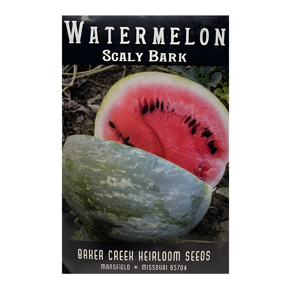 بطيخ Scaly Bark 1 بطيخ Scaly Bark