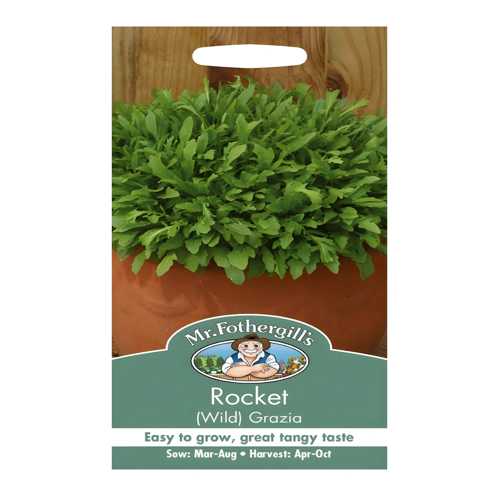 Wild Grazia (Rocket) Arugula 1 Wild Grazia (Rocket) Arugula seeds