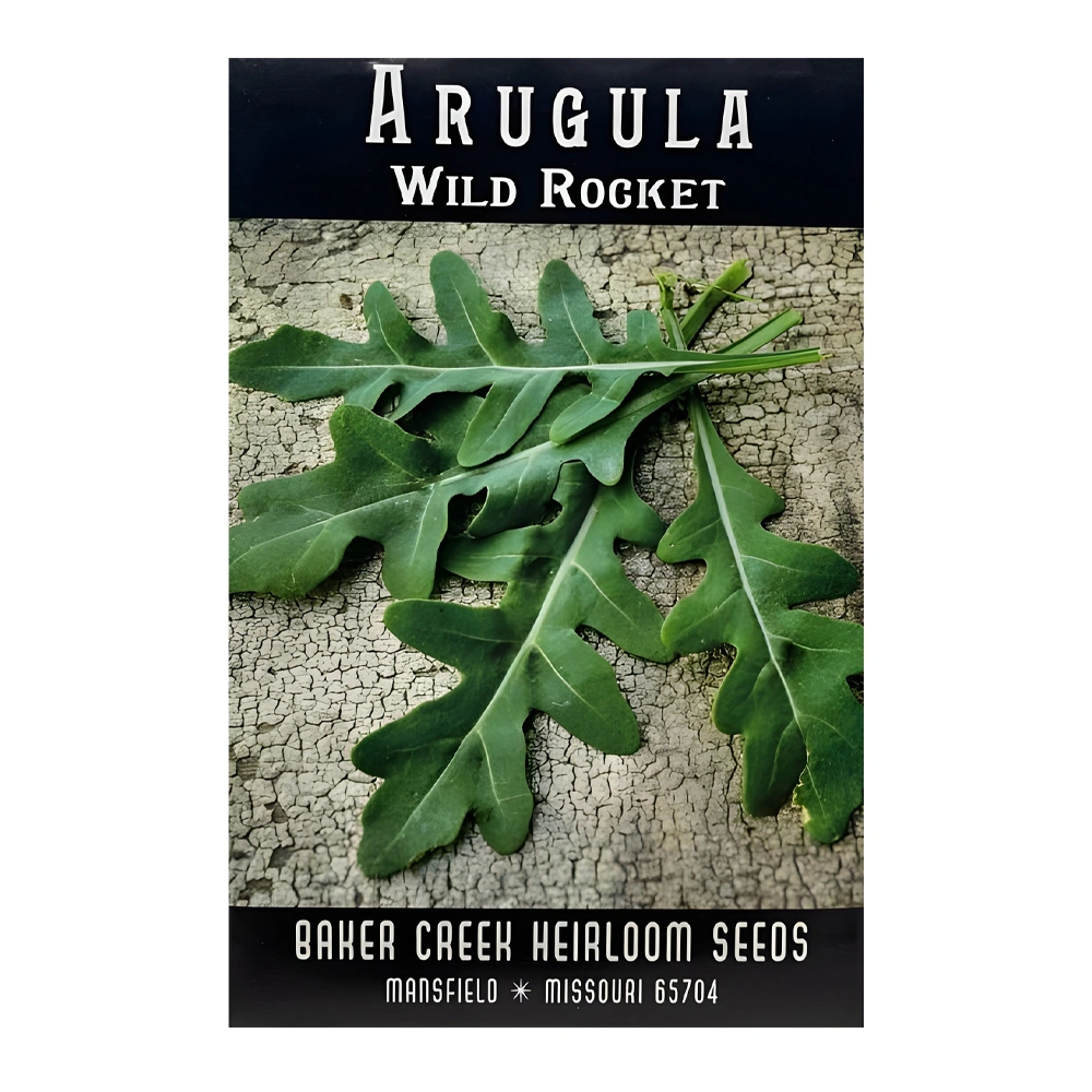 Wild Rocket Arugula seeds