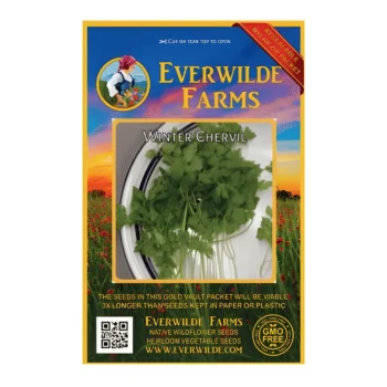 Winter Chervil seeds