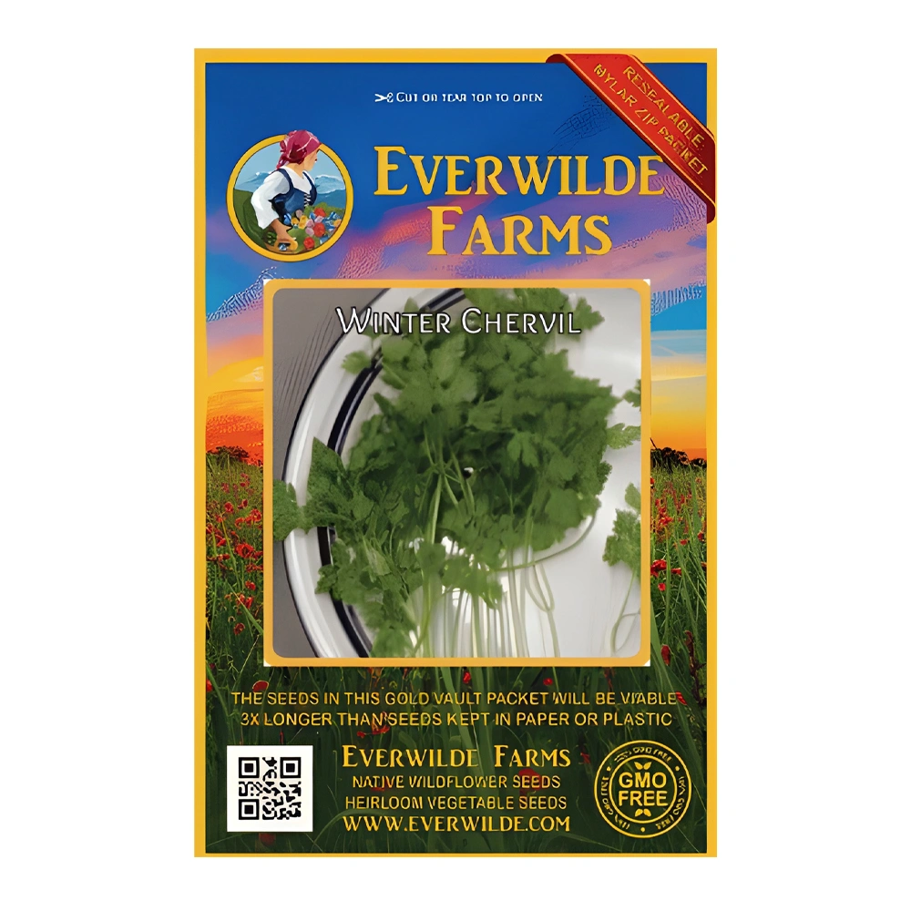 Winter Chervil 1 بذور Winter Chervil