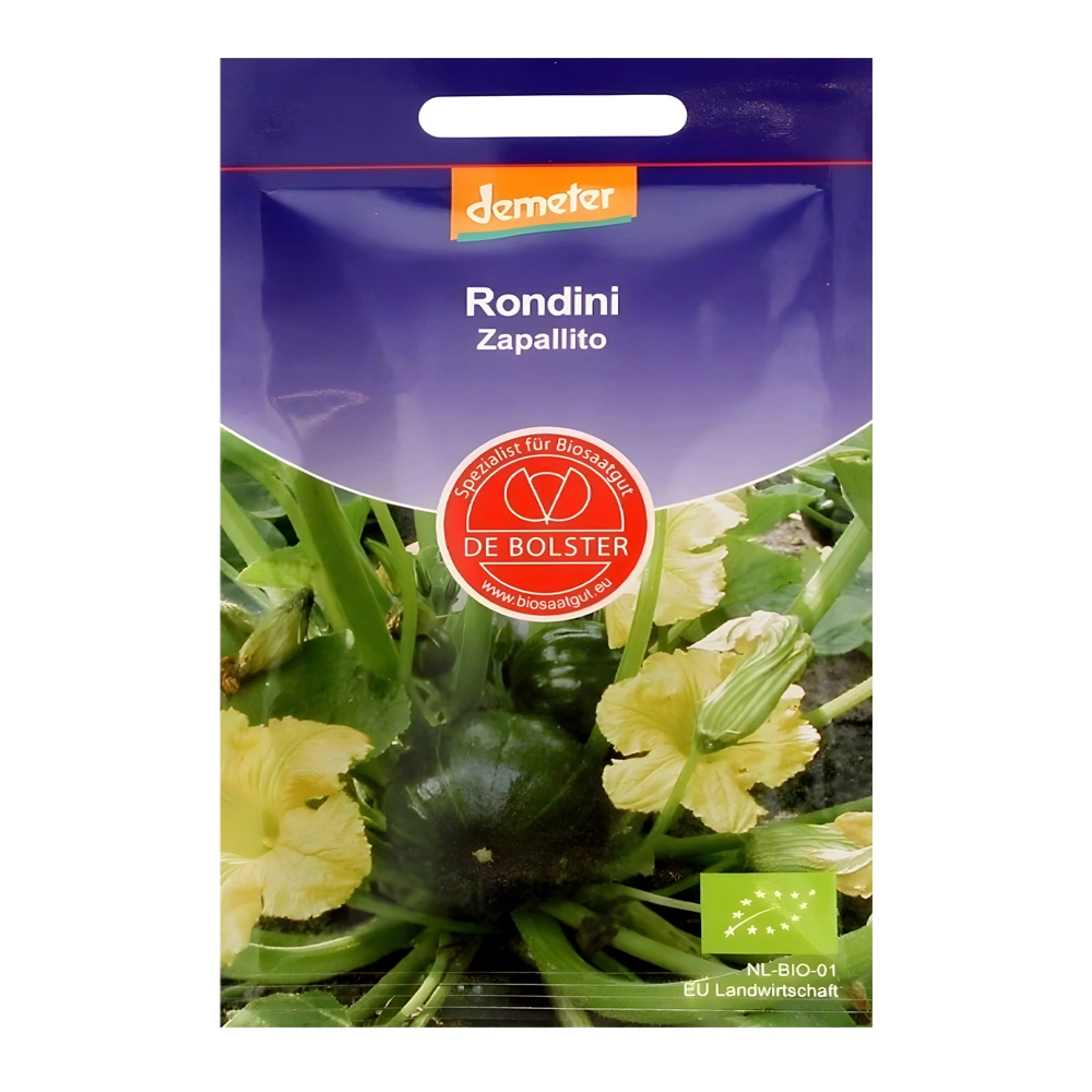 Zapallito organic pumpkin seeds