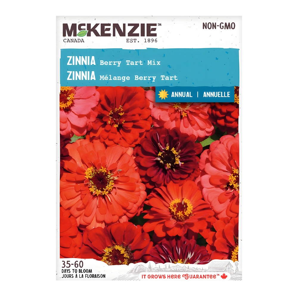 Zinnia Berry Tart Mix seeds