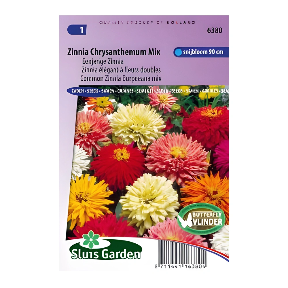 Zinnia Chrysanthemum (Burpeeana) Mix 1 Zinnia Chrysanthemum (Burpeeana) Mix