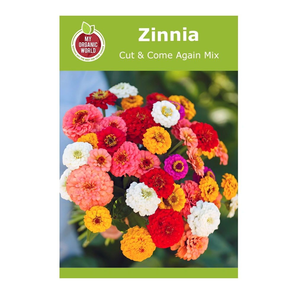 Zinnia Cut & Come Again Mix 1 Zinnia Cut & Come Again Mix