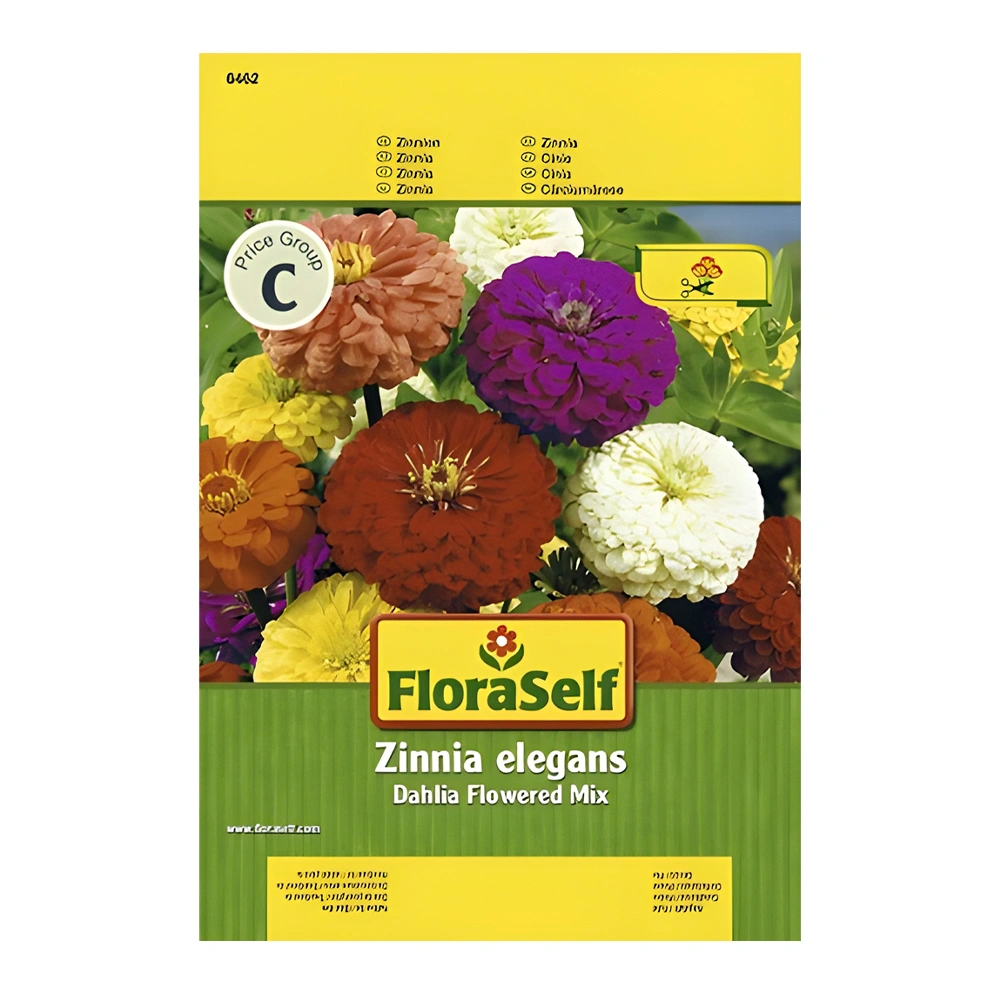 Zinnia Dahlia Flowered Mix 1 Zinnia Dahlia Flowered Mix