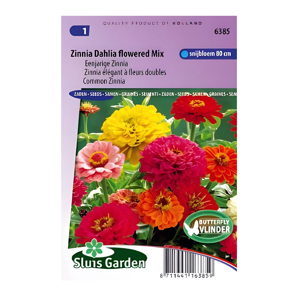 Zinnia Dahlia flowered Mix 1 Zinnia Dahlia flowered Mix