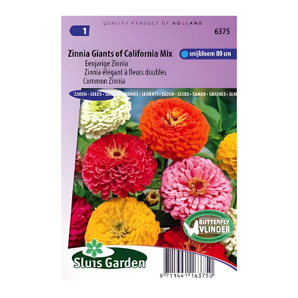 Zinnia Giants of California Mix