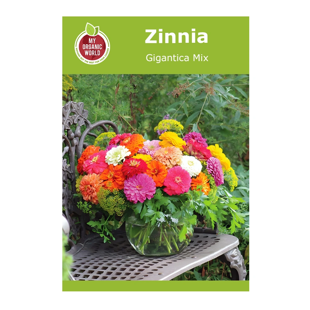 Zinnia Gigantica Mix 1 Zinnia Gigantica Mix