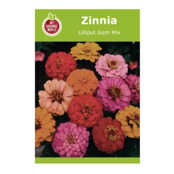 Zinnia Lilliput Gem Mix