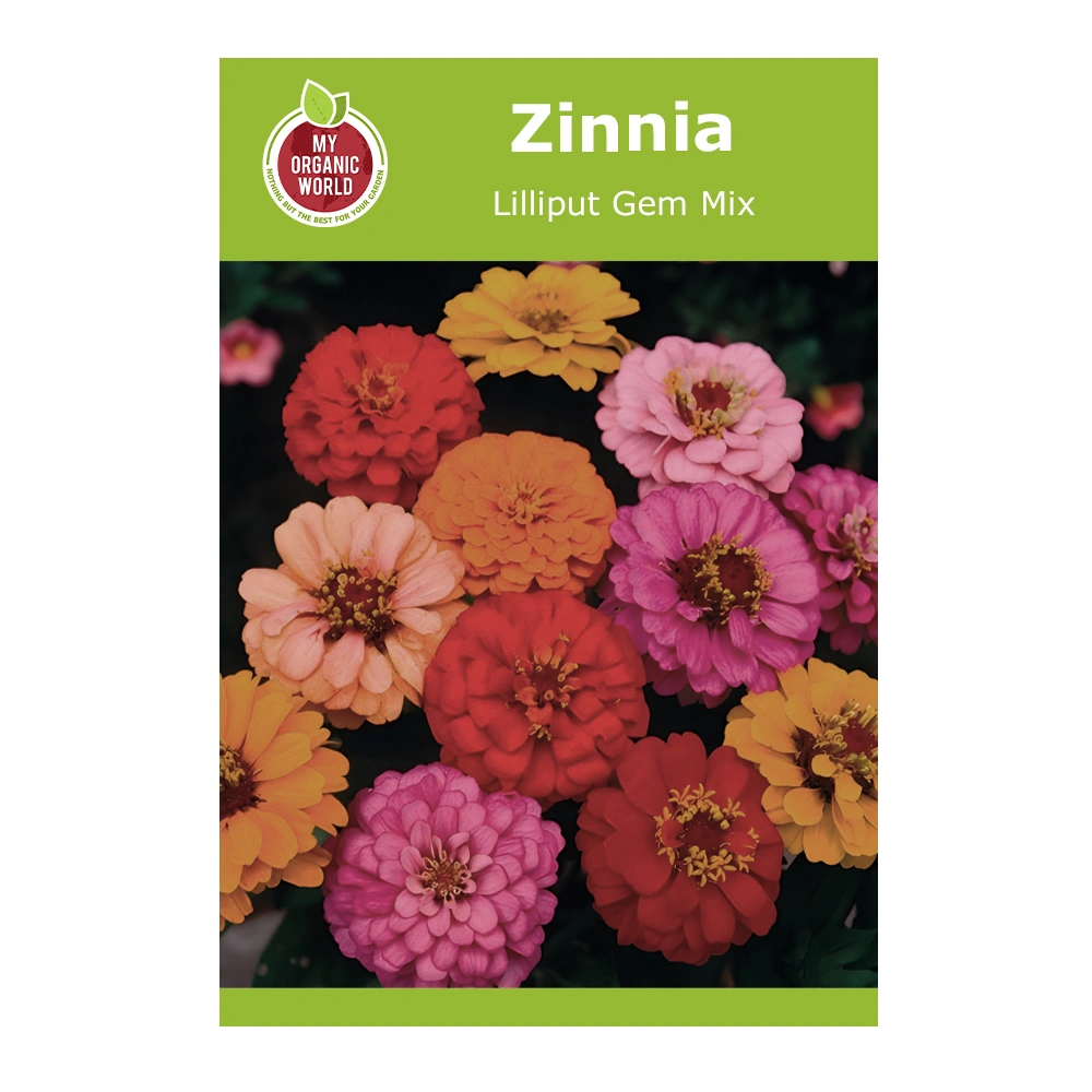 Zinnia Lilliput Gem Mix 1 Zinnia Lilliput Gem Mix