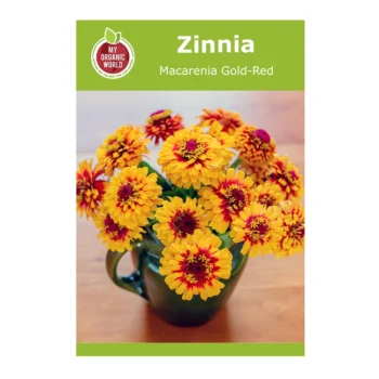 Zinnia Macarenia Gold-Red